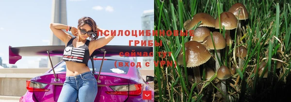 a pvp Белоозёрский